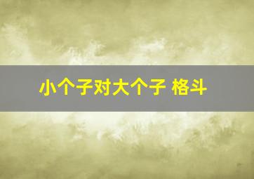 小个子对大个子 格斗